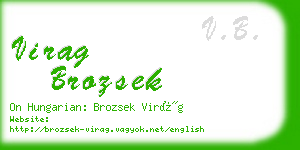 virag brozsek business card